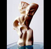 Sculpture 5