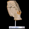 Sculpture 60
