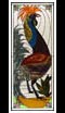 Le coq de la basse cour 